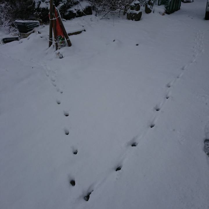 1df86e9f d092 4859 b6be cd21b6bdc9d5 1577829327924