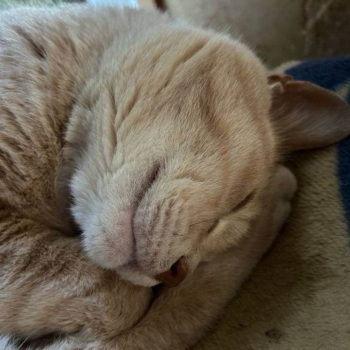 1df88151 a5d7 49ca 85f7 64de1e3bad17 1775352587568