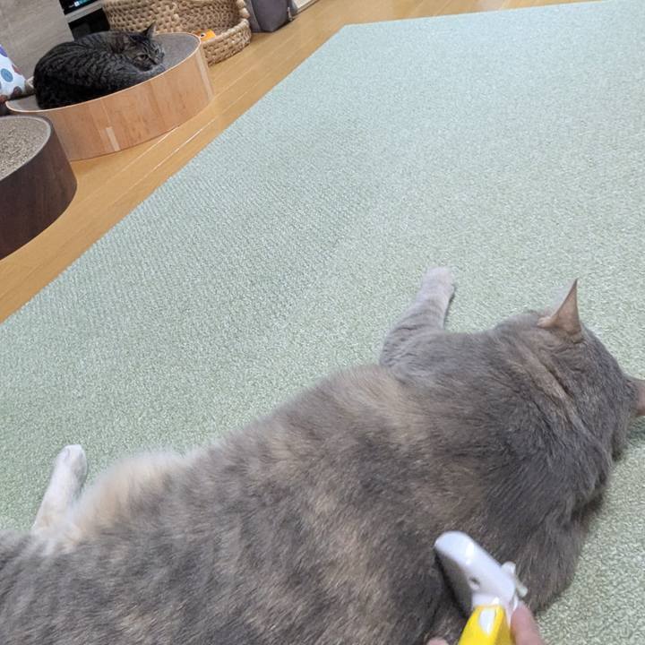 1df8ce74 f3c5 4e43 94e8 b45d23352919 1746427091506