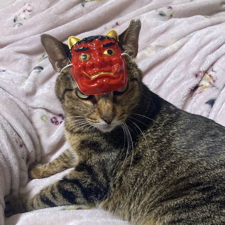 1df8d4f2 39c0 4f68 bce6 d65b1be72a33 1706954787674