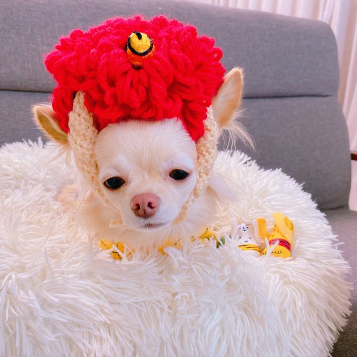 1df8dd47 aeec 49ea 8517 b9a804feba8c 1643875458591