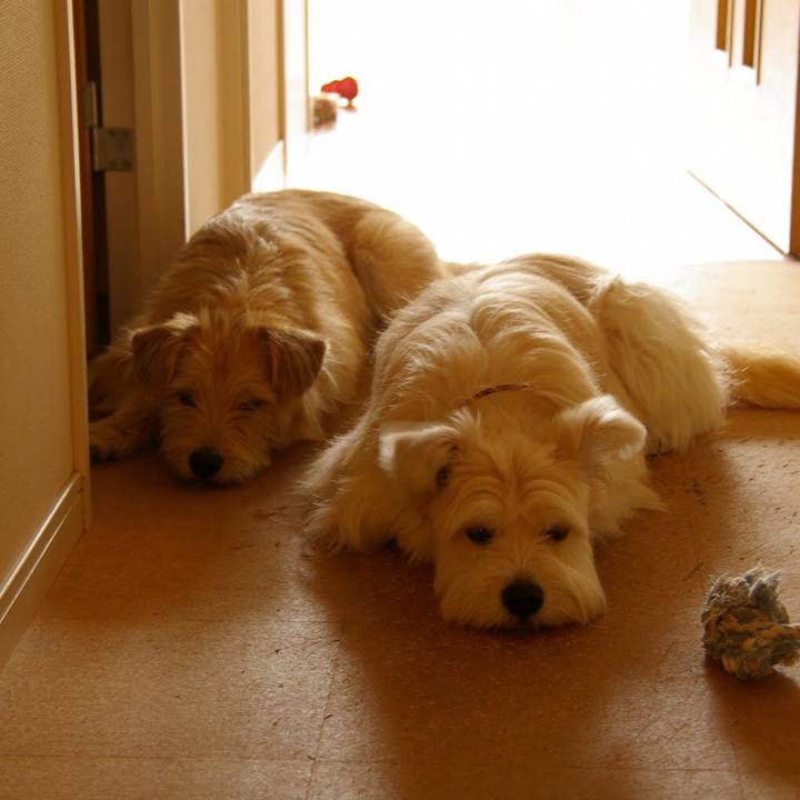 1df8e5f5 8e07 4971 8a41 8648a38874f0 1535957775810