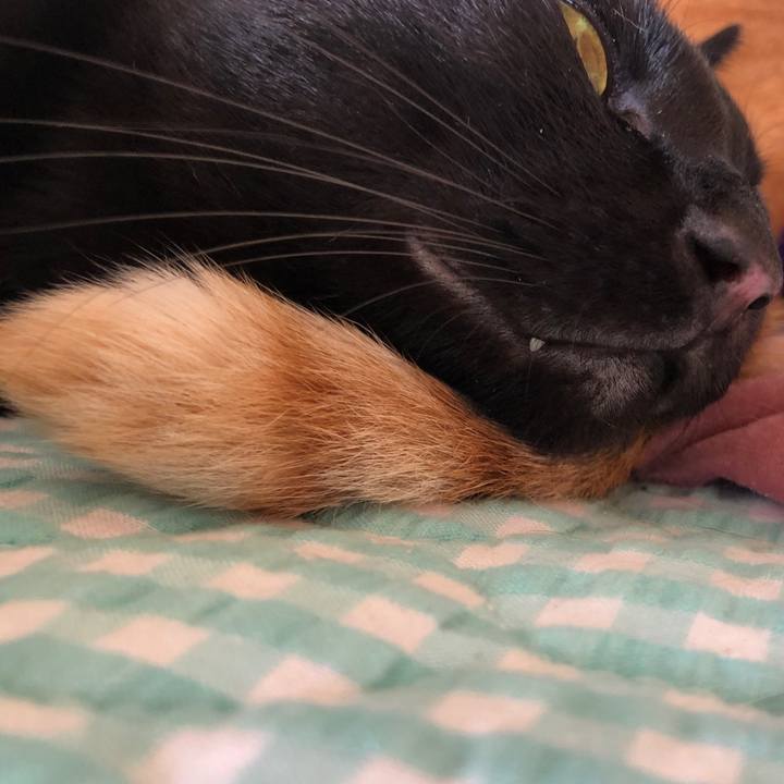 1df9337d d160 443b 9272 732b7cced06c 1660352218599