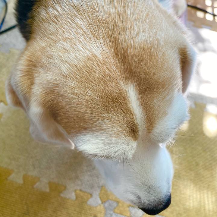 1df9656e e70b 45f7 b209 ebd84cd97efc 1614743680112