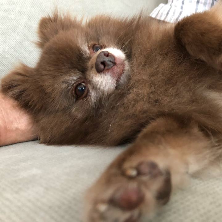 1df97e23 1e95 488e a7be 3c988926a3cc 1562983482933