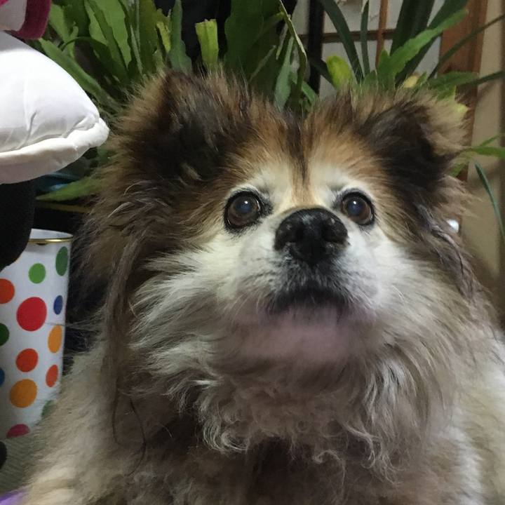 1df9828a 4561 4a77 a228 aad39824b602 1621394327740