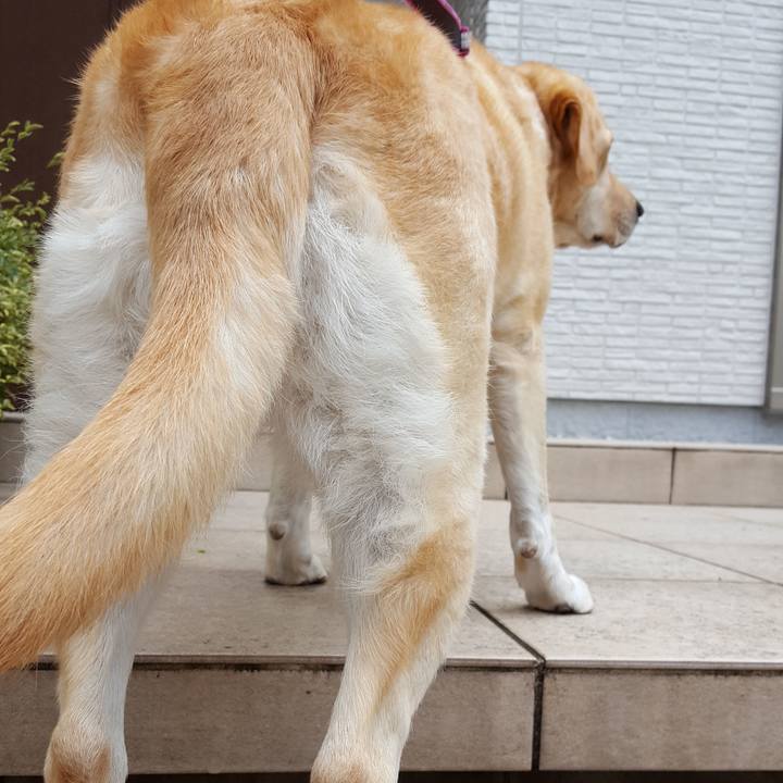 1df984aa 8868 4f6a ba3a 7fb76089351f 1511938331674