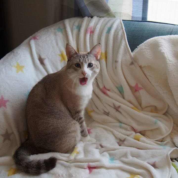 1df9aace 6435 4e8f 95fa ae7170f5c6aa 1542065471273