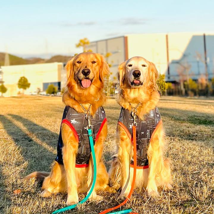 1df9ac54 da56 49f8 95db e77ee75bcbd8 1767951522097