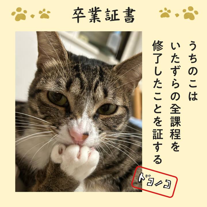 1df9c49b 5f03 46ca 9f46 14cdb1073637 1772104116096