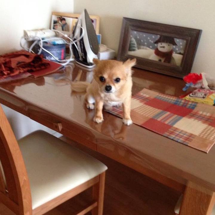 1df9e42b abf3 47e8 b402 3648d86f1f08 1590284412272