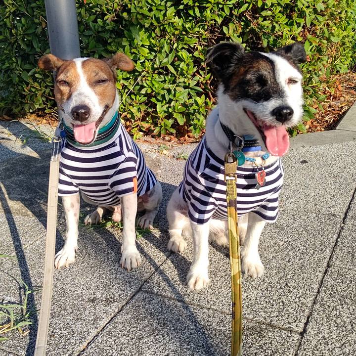 1df9fa4c 07ea 463b b59a adf5fd75d34b 1691099527103