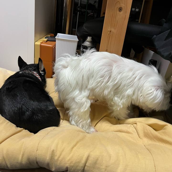 1dfa281b 7c11 4eff 9aca 1bffe1d7d5eb 1741760777981