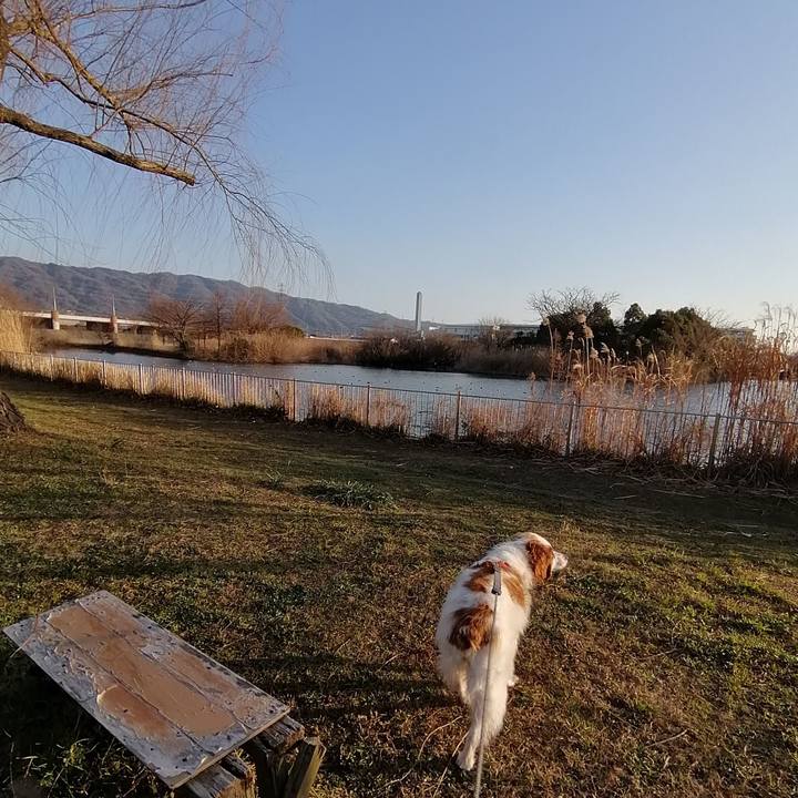 1dfa2afe 8f93 4b25 8cd0 f5f4fbb9f276 1581593729507