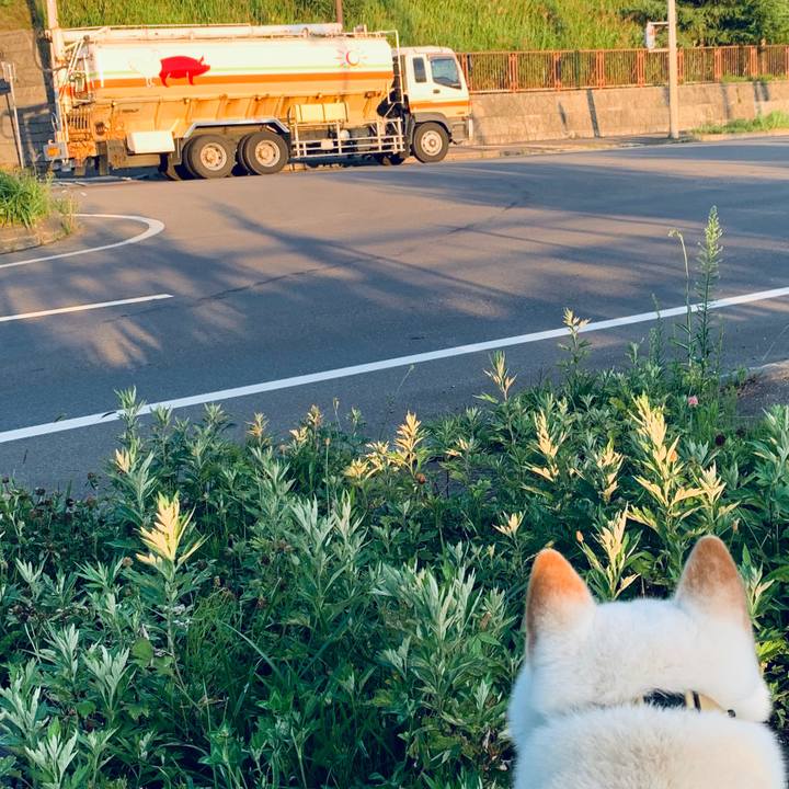 1dfa2dd7 cc84 4201 a774 5ba68a0ea2a3 1597351864436