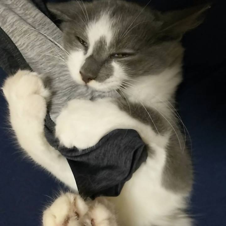 1dfa491b a6ce 4c14 896a 3796cda0652d 1568805766789