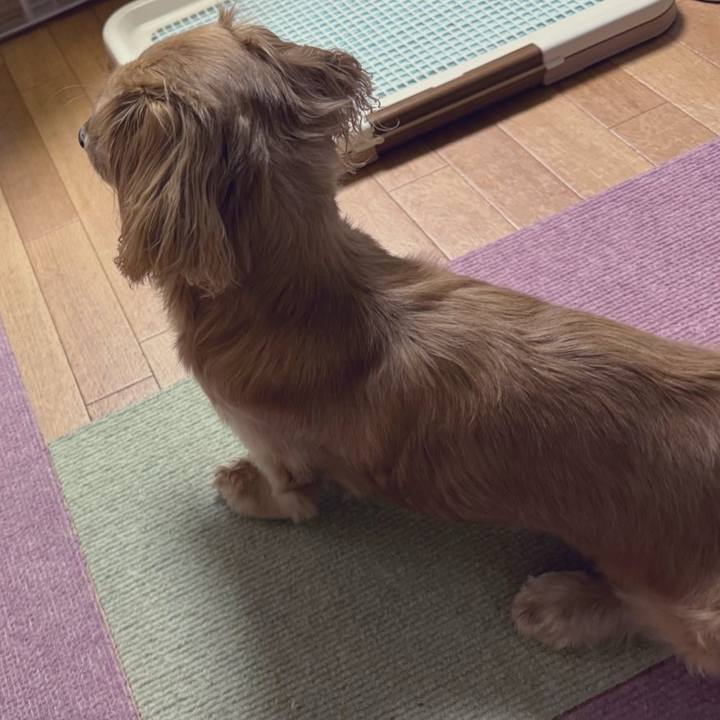 1dfac931 3127 4944 a60d 06f6de24d9f8 1702981544433