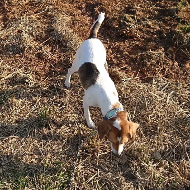 1dfad642 d292 4657 9448 0697054bc085 1573289938632