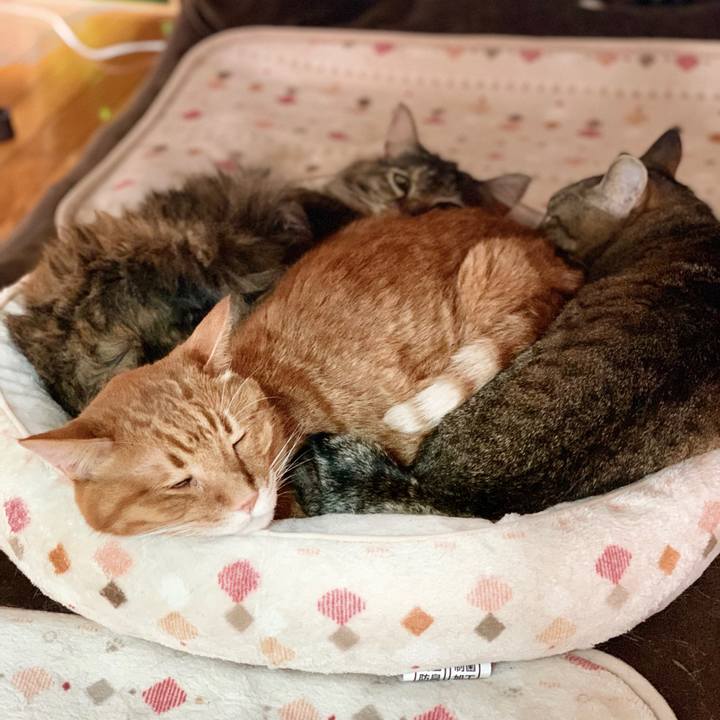 1dfae136 5e7b 4573 8baf 0a3f02aa2774 1675913794272