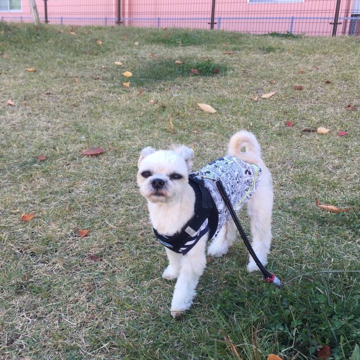 1dfaedfd b7e7 47de 90e6 d29fd0d47117 1541074977602