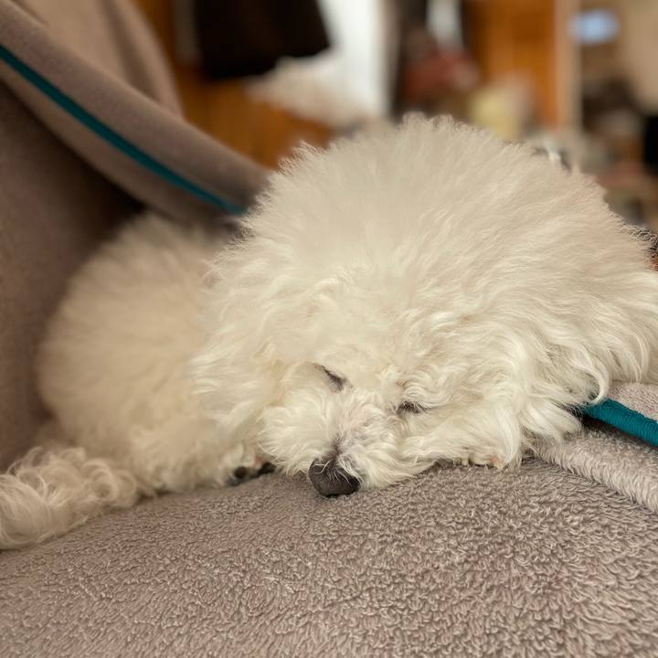 1dfaf477 8dd7 44af adbc aecb7286f35e 1608596860396