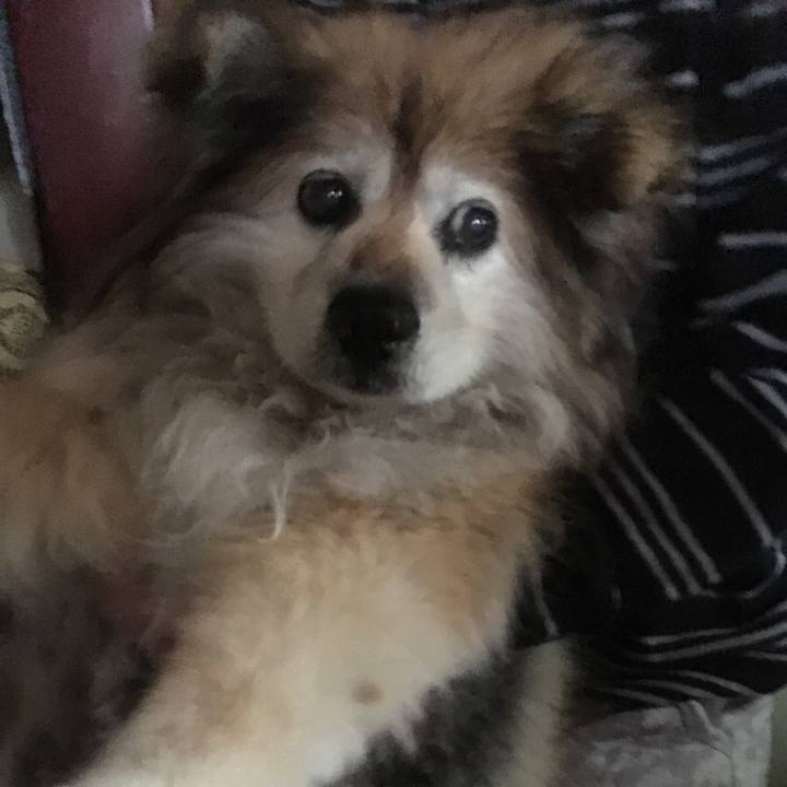 1dfb3fb4 9d2e 434e be0f c82e10a270d7 1565225676817