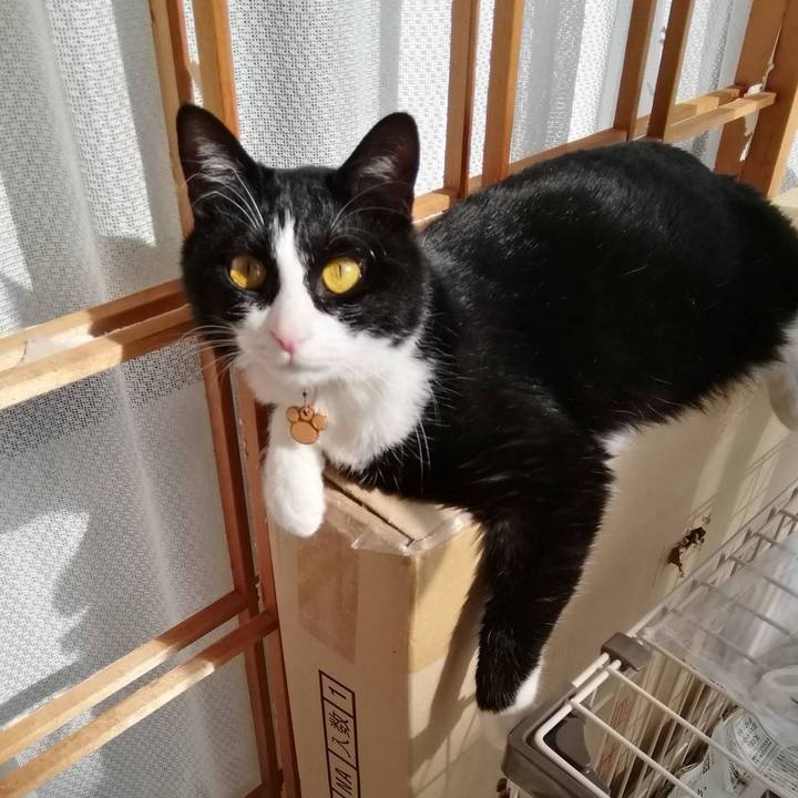 1dfb4496 d746 4e19 9495 8cfb34a8d1ac 1555338031723