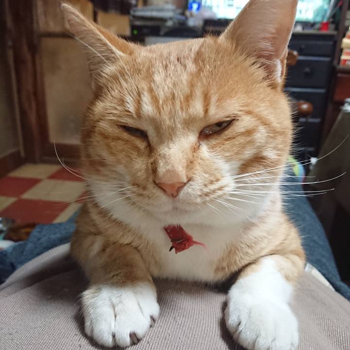 1dfbc0df 66e5 4535 a9bf 496d7044fa63 1575110475774