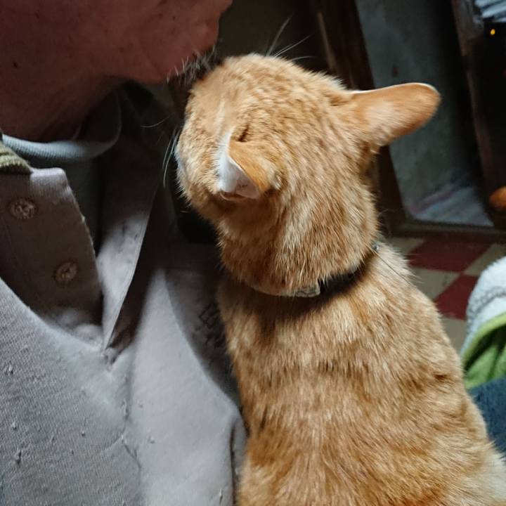 1dfbd2bc 7546 4746 ba81 7b3e65eceb48 1588103798868