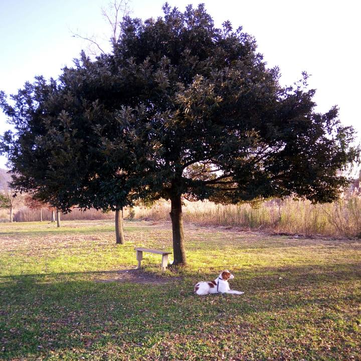 1dfc00bf 77b0 4838 9de1 8c37e96f6f6d 1513327165814