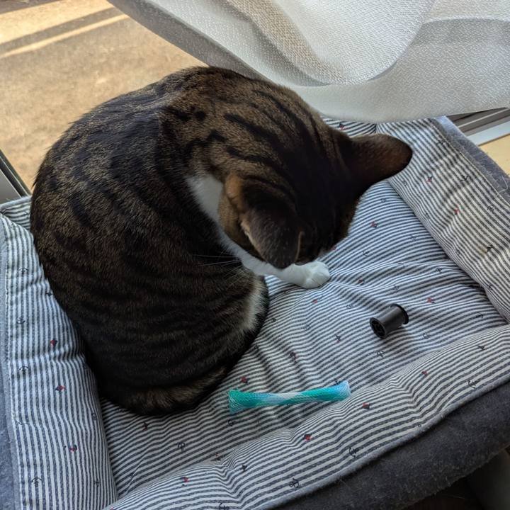 1dfc4368 0c0a 42bd b62e dfcd7ff1c99c 1763356665486