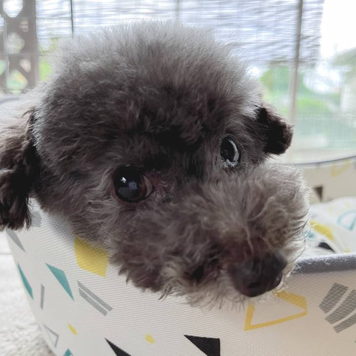 1dfc4a99 d2c0 4dcf a350 7ead82b77a25 1695765877020