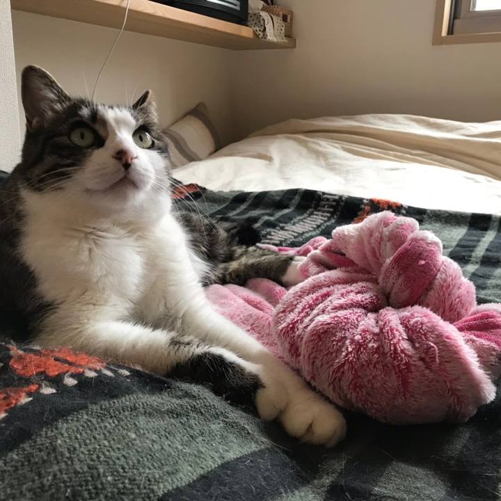 1dfc67f9 bac5 4e19 a136 c125af64f5cd 1558156564177