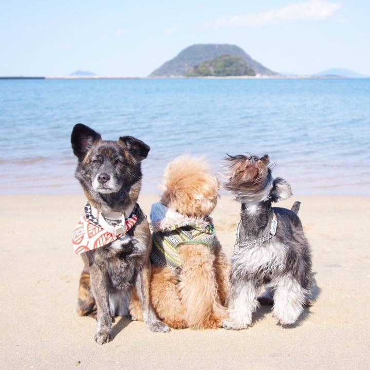 1dfc6eae 6123 4e40 9909 6858221294bb 1554953184757