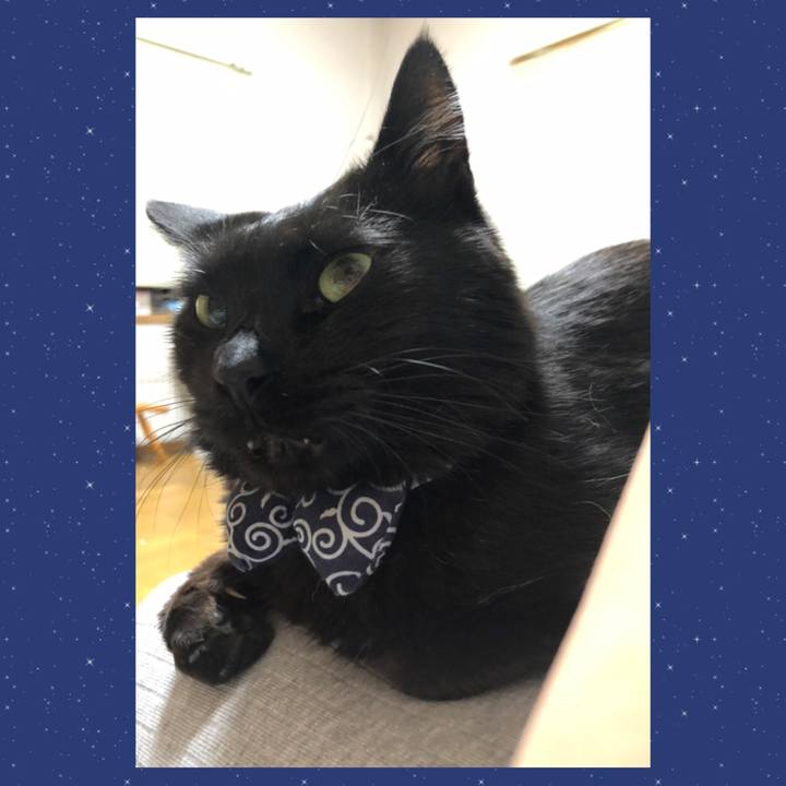 1dfc7dda 8500 4da7 b54e 5e7bcba59839 1581511510093