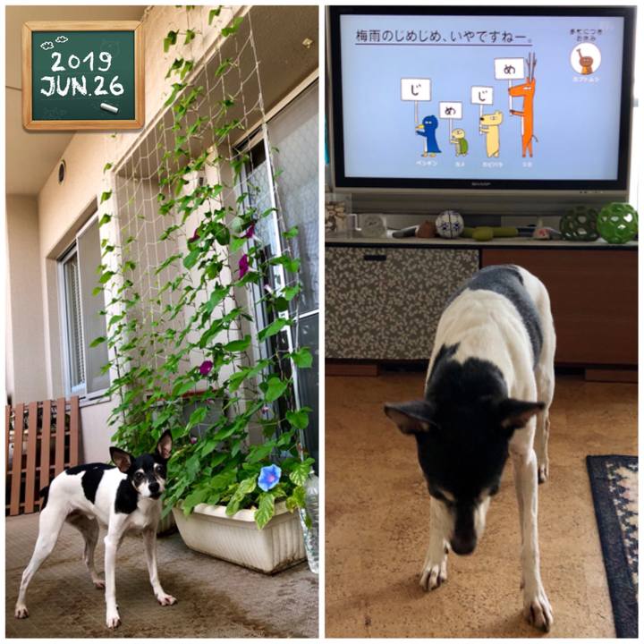 1dfc8b0c ef33 4612 8dc6 cc32a6de5b3e 1561503622273