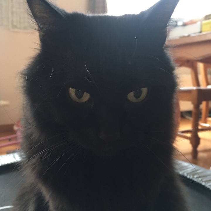 1dfc922b cb74 40cf b64b 17871f0726ac 1509517123480