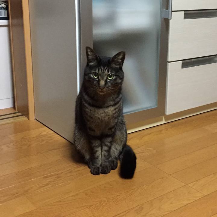 1dfc9c6e 2b33 44db 9b0d 4a1a4cb59a07 1550840329625