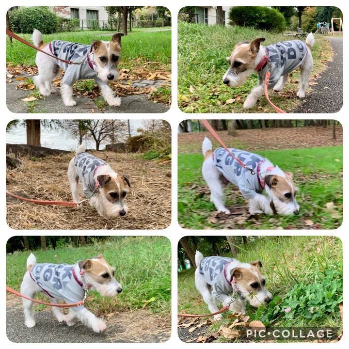 1dfcbc2f a309 4c3f b0f2 f068f07455bc 1604648957988