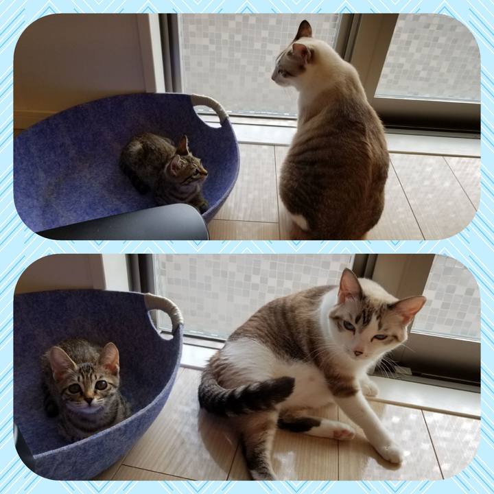 1dfccef8 f074 4c58 876f 3225032ea825 1537759083962