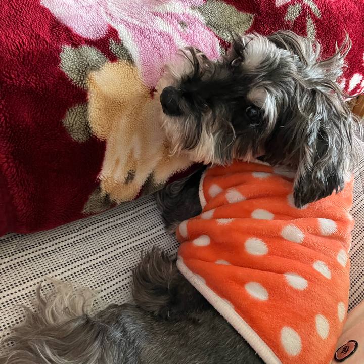 1dfcd7ff bc3e 4ed5 8c51 c6476b1b5045 1741095448316