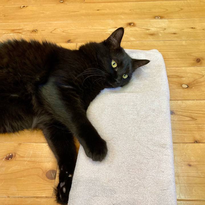 1dfce70f 3add 4e2d 9db7 cb4ba2b6d936 1723633804677