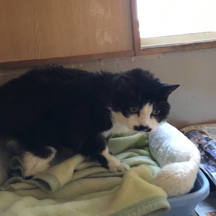 1dfd0569 5b6f 4adf 9d96 e5bd02b3069b 1509231939334