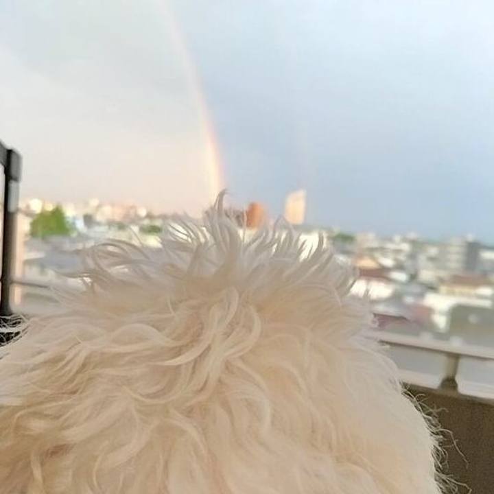 1dfd1465 30dc 47bf a905 8b1f2a77a6c8 1717414066324