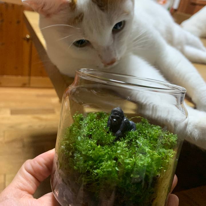 1dfd2ab8 5b04 45a1 81dd e47e5c6f42a8 1656078450558