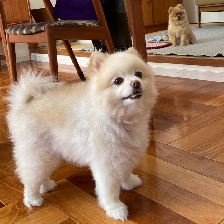 1dfd309a d07d 4b30 8d88 e7cb281de99e 1723686595358