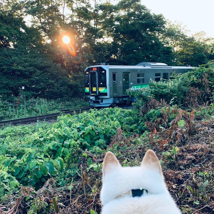 1dfd3cf0 7102 40ef aec1 0151ec8b4d1a 1596229634882