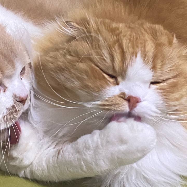 1dfd3ee1 f5b4 49f0 9be0 ee9b25d15bd1 1675741448250