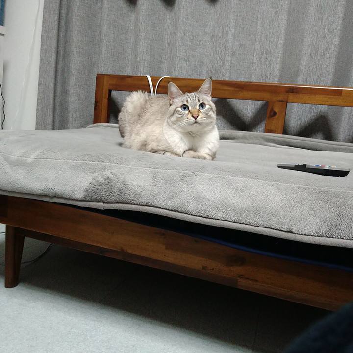 1dfd45d9 0751 4724 a3ed 179bc7400e45 1703349854596