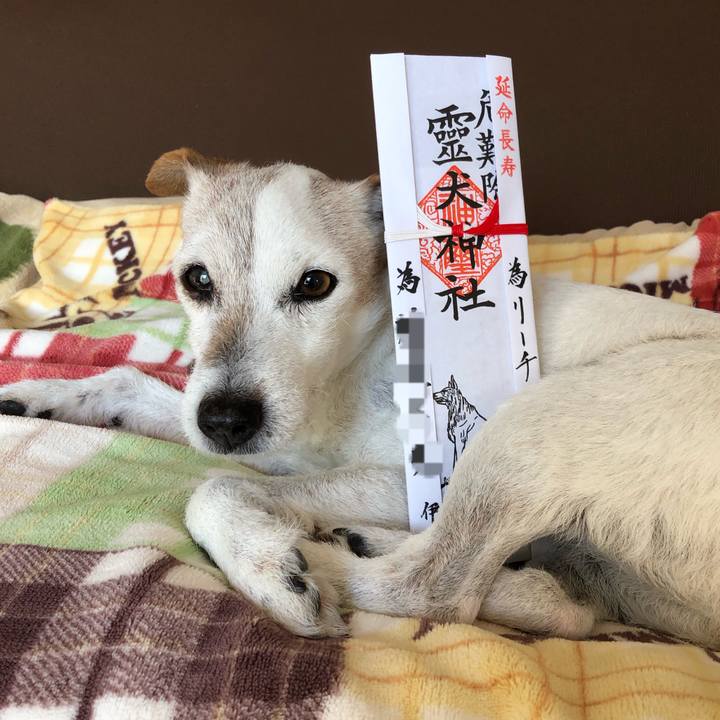 1dfd7977 2bad 42ce 896b 2060766151e7 1547699101531